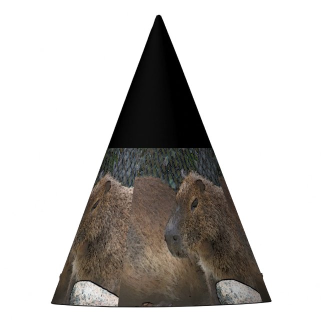Chapeaux De Fêtes toony capibarah (Devant)