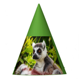 Chapeaux De Fêtes un lémur de Madagascar sur le Casquette du Parti