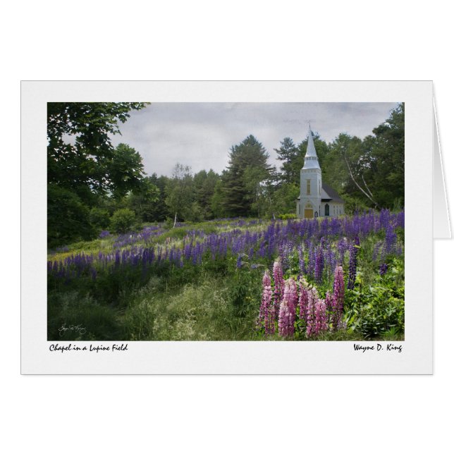 Chapel in a Lupine Field Card (Front Horizontal)
