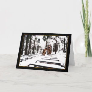 Chapelle des Bois avec une carte moelleuse