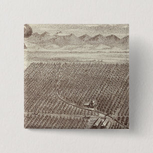 Chapin Fruit Ranch 2 Inch Square Button