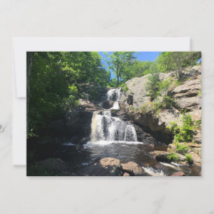 Chapman Falls Card