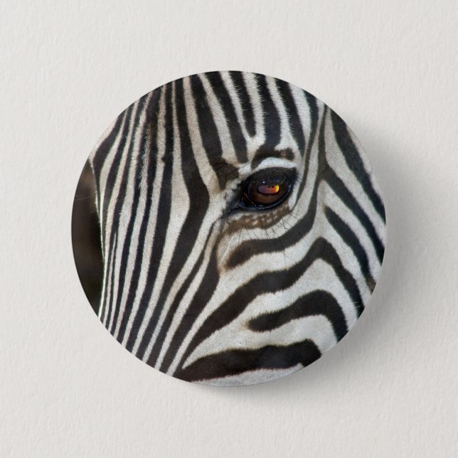 Chapman's Zebra 2 Inch Round Button (Front)