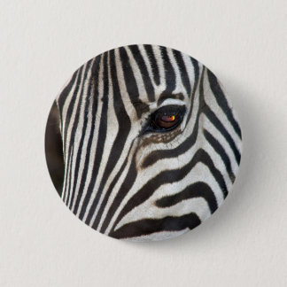 Chapman's Zebra 2 Inch Round Button