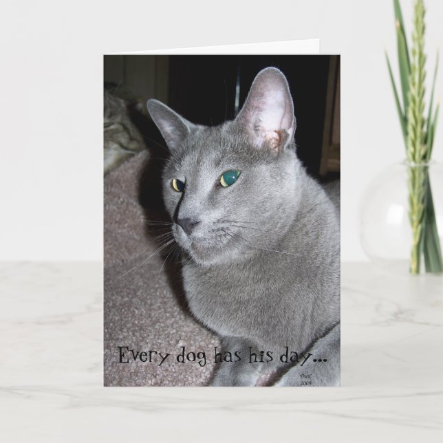 Chaque carte de chien (Devant)