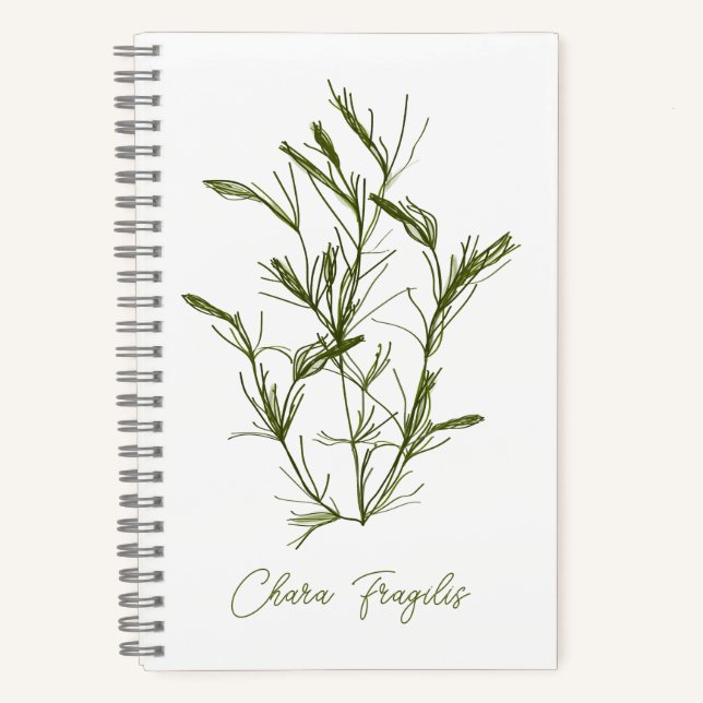 Chara Fragilis Sea-Inspired  Notebook (Front)