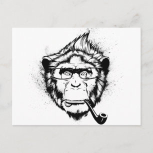 Characteristic Chimp Postcard