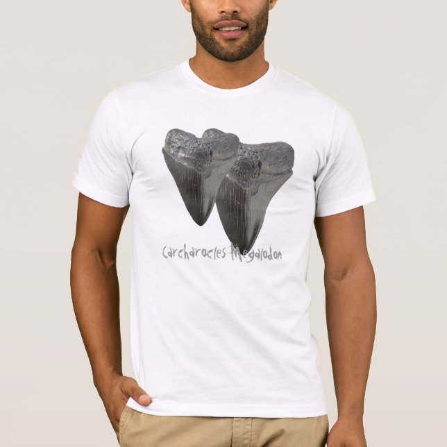 Charcharocles Megalodon Tooth T-Shirt (Front)