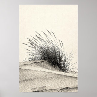 Charcoal Dune Grass Monochrome Nature Poster