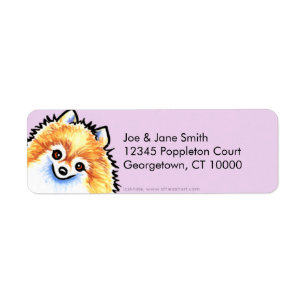 Chardon de Pomeranian