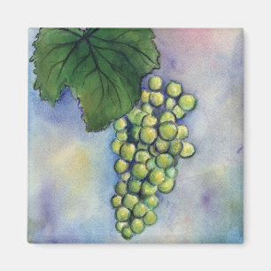 Chardonnay Wine Grapes Magnet