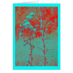 chardons sauvages rouges