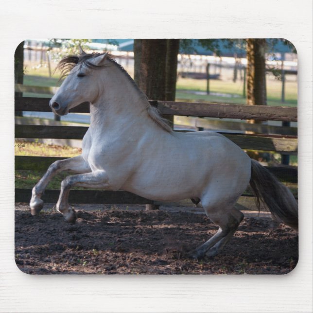 Charge Mousepad (Front)