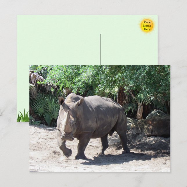 Chargement Carte postale Rhinoceros (Devant / Derrière)