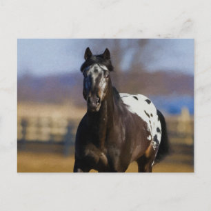 Charger Postcard