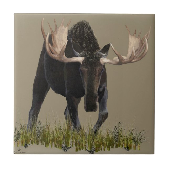 Charging Bull Moose Tile (Front)