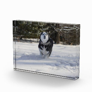 Charging Through Photo Block