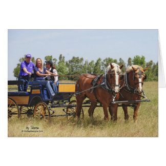 Chariot belge de cheval de trait