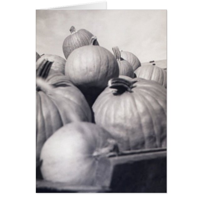 Chariot de citrouille (Devant)