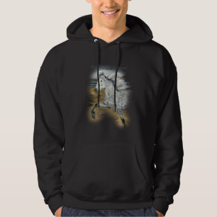 Charismatic ~ Hoodie sweat shirt