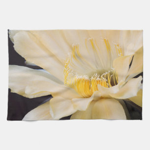 Charlemagne Echinopsis cactus bloom Kitchen Towel