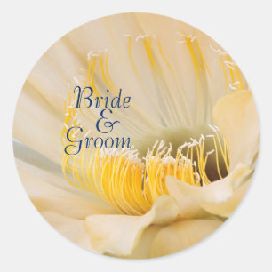 Charlemagne Echinopsis in bloom Bride and groom Classic Round Sticker