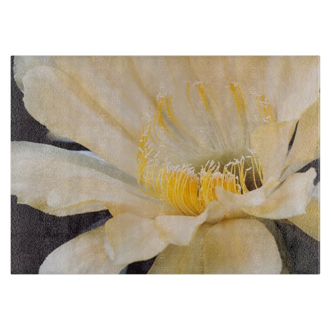 Charlemagne Echinopsis in bloom Cutting Board (Front)