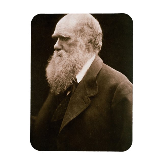 Charles Darwin (1809-82) (photo) Magnet (Vertical)