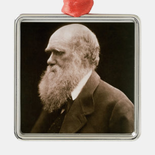 Charles Darwin (1809-82) (photo) Metal Ornament