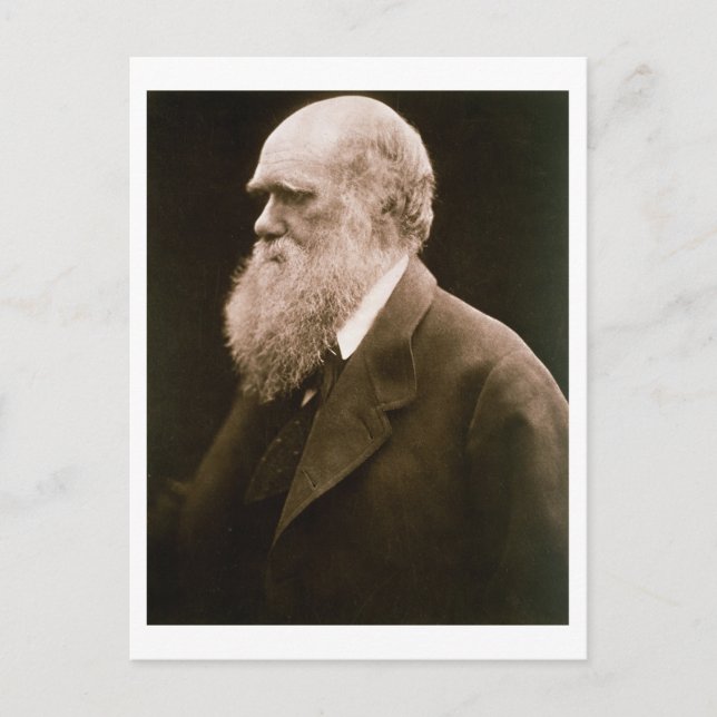 Charles Darwin (1809-82) (photo) Postcard (Front)