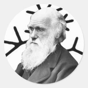 Charles Darwin Classic Round Sticker