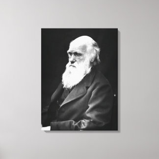 Charles Darwin Portrait Canvas Print