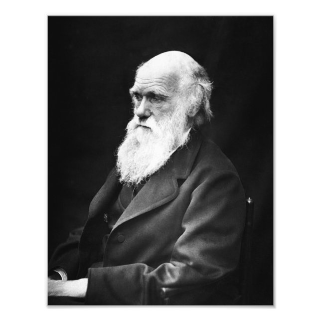 Charles Darwin Portrait Photo Print (Front)