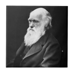 Charles Darwin Portrait Tile