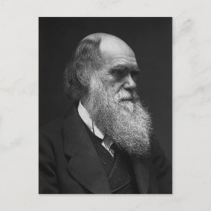 Charles Darwin postcard
