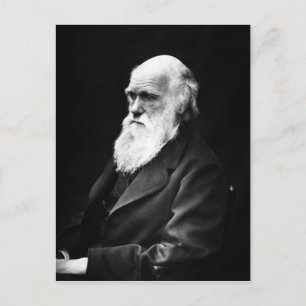 Charles Darwin postcard
