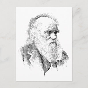 Charles Darwin, The Origin of Species 1872 Postcard