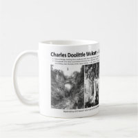 Charles Doolittle Walcott I - Pioneering Geologist