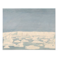Charles Hamilton Smith - Part of the South Pole