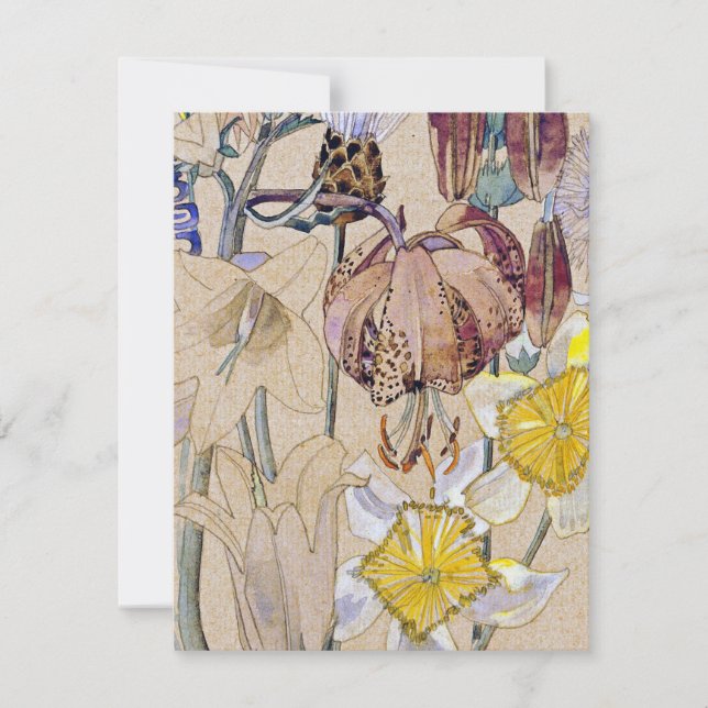 Charles Rennie Mackintosh - Mont Louis - Flower (Front)