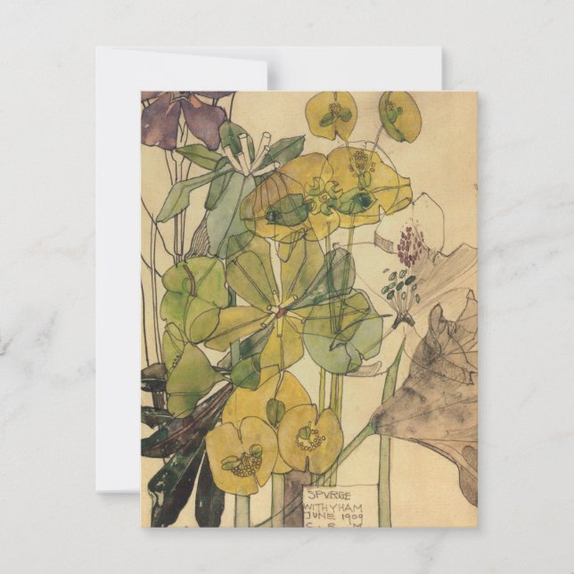 Charles Rennie Mackintosh - Spurge With Yham 1909 Thank You Card (Front)