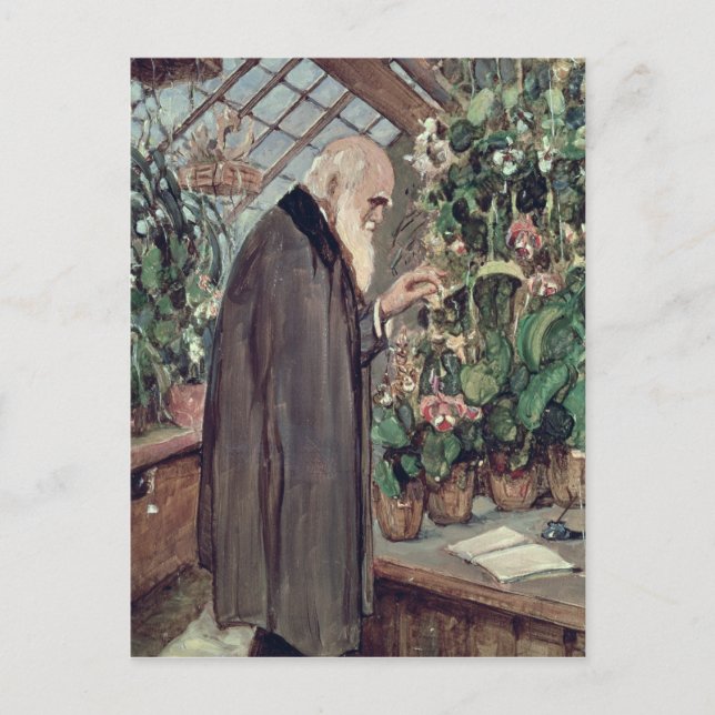 Charles Robert Darwin Postcard (Front)