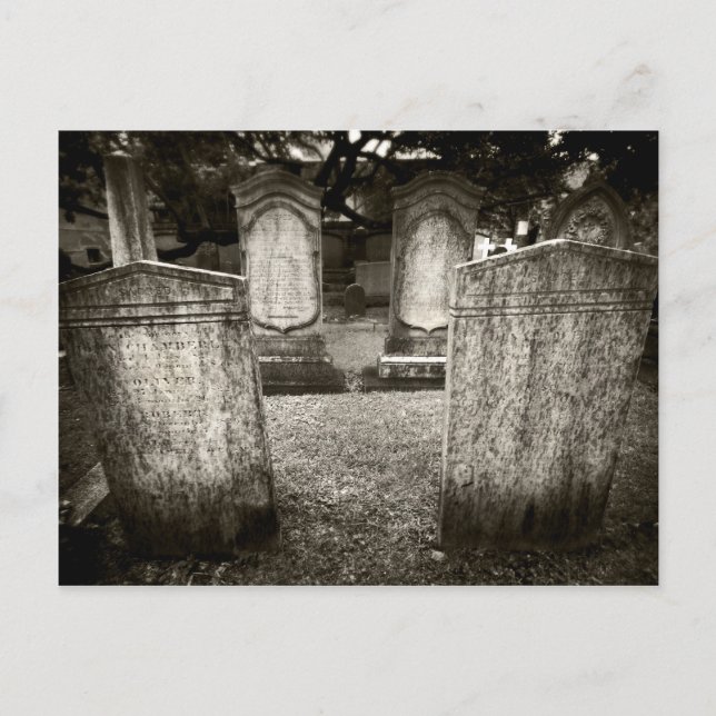 Charleston Cemetery Postcard (Front)
