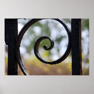 Charleston Iron Gate Detail Poster