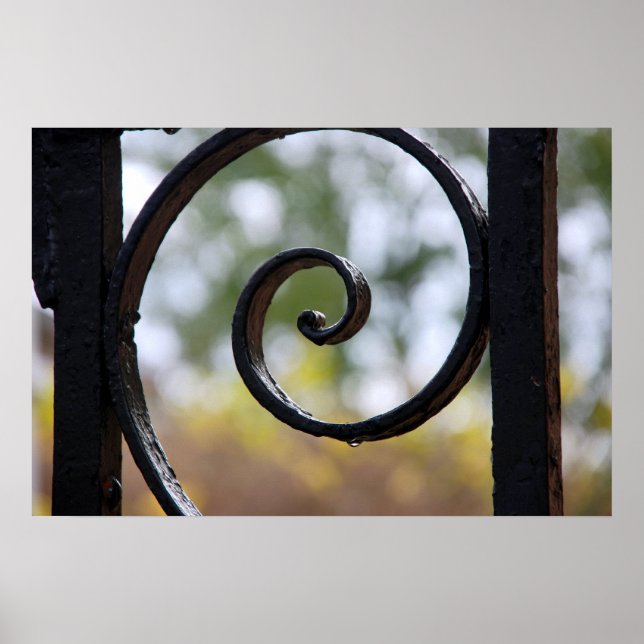 Charleston Iron Gate Detail Poster (Front)