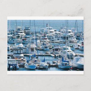 Charleston SC Postcard