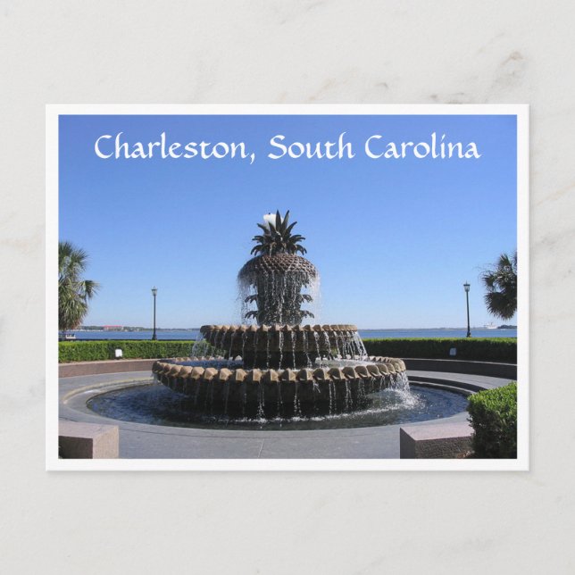 Charleston SC Waterfront Park Fountain Post Card (Front)