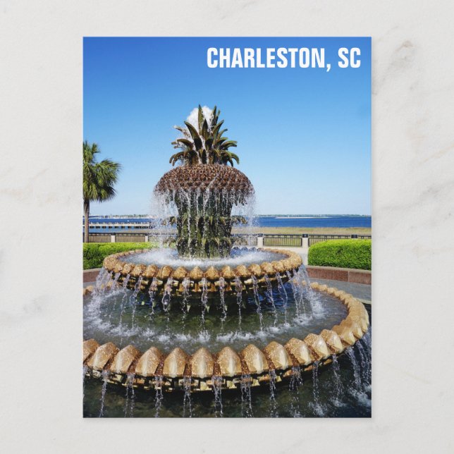 Charleston South Carolina Pineapple Fountain Postcard (Front)