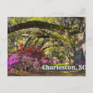 Charleston, South Carolina Spring Botanical Garden Postcard