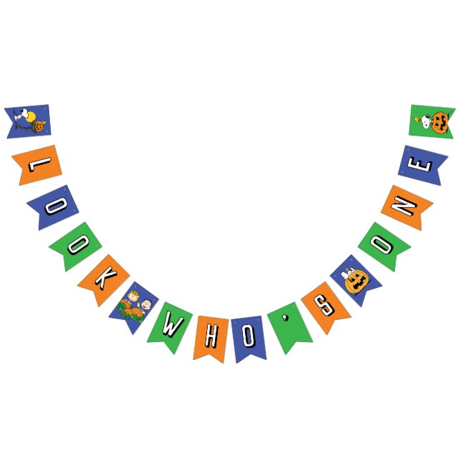 Charlie Brown and Gang Pumpkin First Birthday Bunting Flags (All)